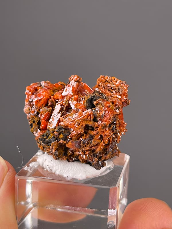 Crocoite specimen from Australia presenting orange-red lustrous blades