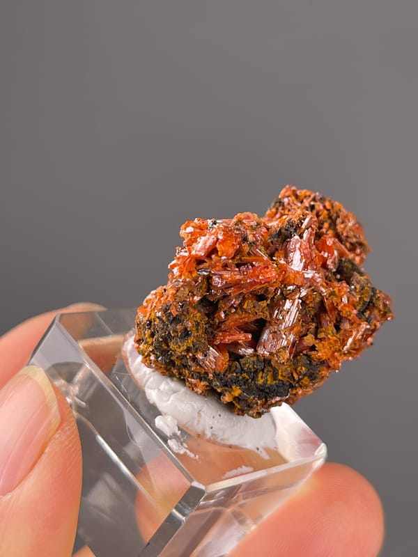 Crocoite specimen from Australia displaying orange-red lustrous blades