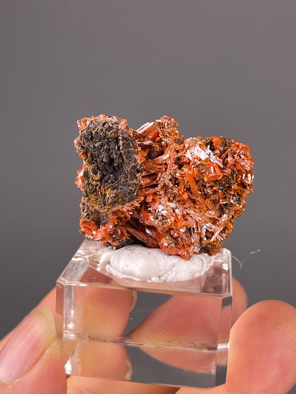 Crocoite specimen from Australia highlighting orange-red lustrous blades