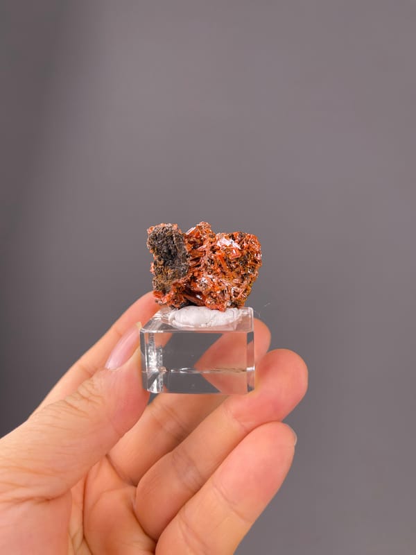 Crocoite specimen from Australia bearing orange-red lustrous blades