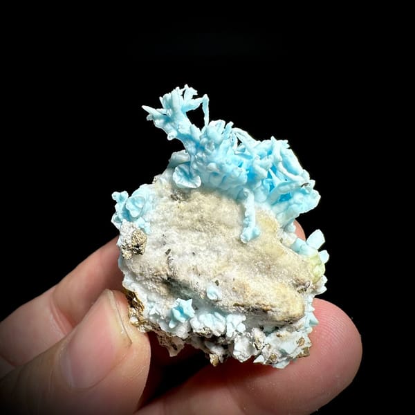 Curling sky-blue aragonite branches on tan base from Yunnan, China