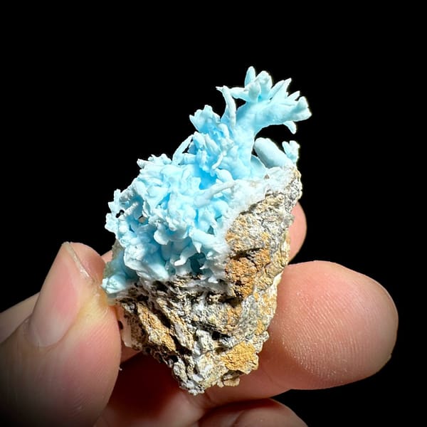 Curling sky-blue aragonite branches on tan base from Yunnan, China, view 2 of 6