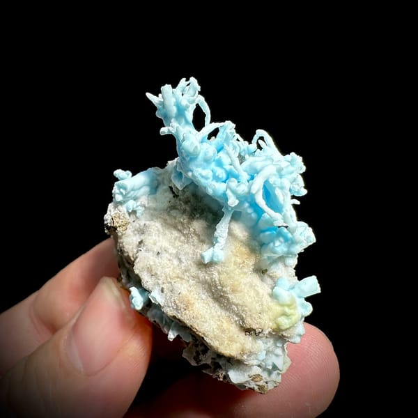 Curling sky-blue aragonite branches on tan base from Yunnan, China, view 3 of 6
