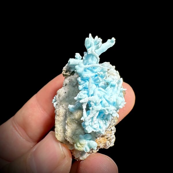 Curling sky-blue aragonite branches on tan base from Yunnan, China, view 4 of 6