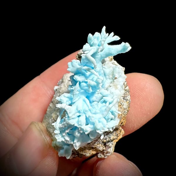 Curling sky-blue aragonite branches on tan base from Yunnan, China, view 5 of 6