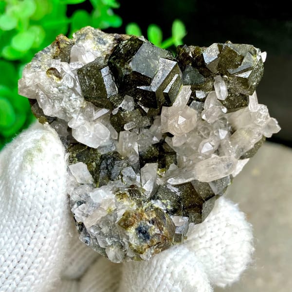 Dark green garnet dodecahedra on white quartz from Inner Mongolia, China, view 2 of 9