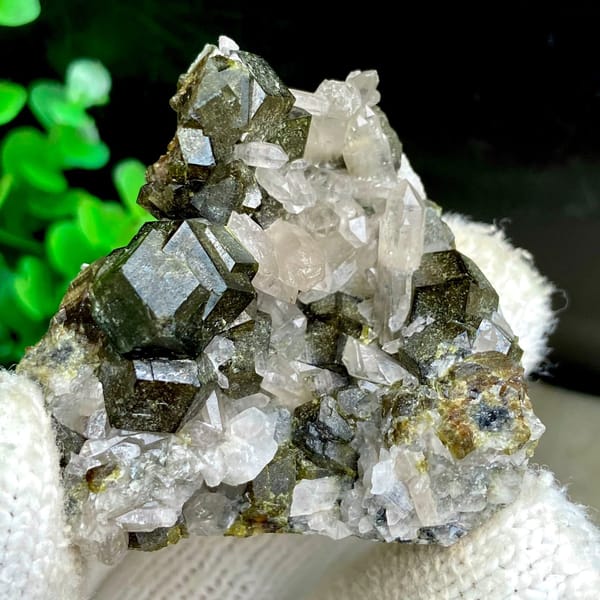 Dark green garnet dodecahedra on white quartz from Inner Mongolia, China, view 9 of 9