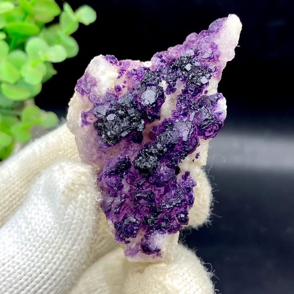 Dark purple fluorite cubes on white plate from Guizhou, China, view 2 of 9