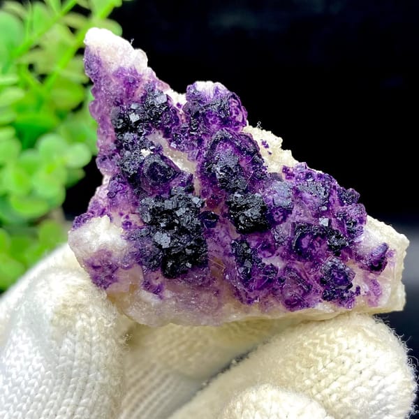 Dark purple fluorite cubes on white plate from Guizhou, China, view 3 of 9