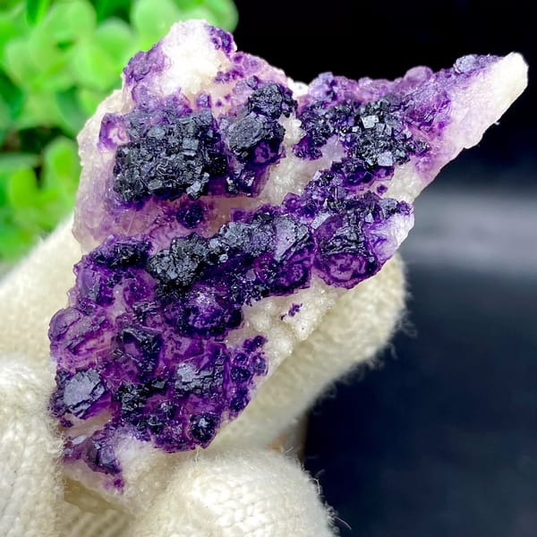 Dark purple fluorite cubes on white plate from Guizhou, China, view 4 of 9
