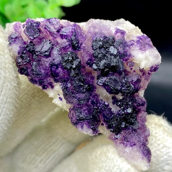 Dark purple fluorite cubes on white plate from Guizhou, China, view 5 of 9