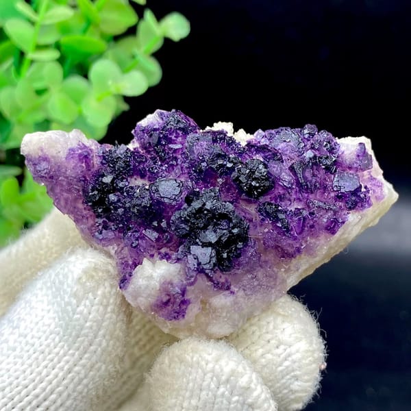 Dark purple fluorite cubes on white plate from Guizhou, China, view 8 of 9
