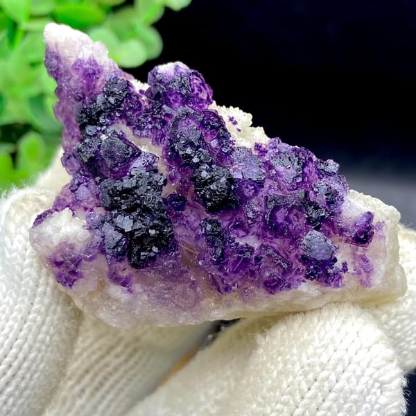 Dark purple fluorite cubes on white plate from Guizhou, China, view 9 of 9