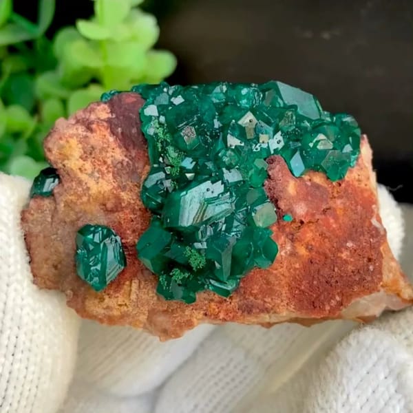 Emerald-green dioptase crystals on orange-brown matrix from Africa