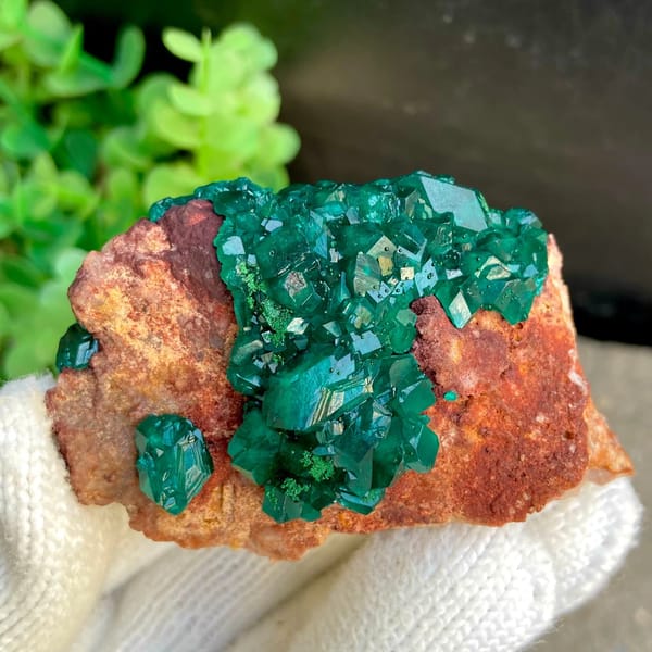 Emerald-green dioptase crystals on orange-brown matrix from Africa, view 2 of 9