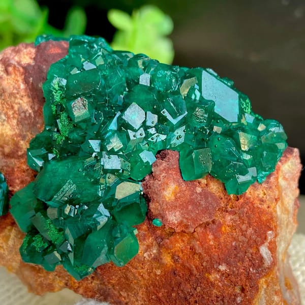 Emerald-green dioptase crystals on orange-brown matrix from Africa, view 3 of 9
