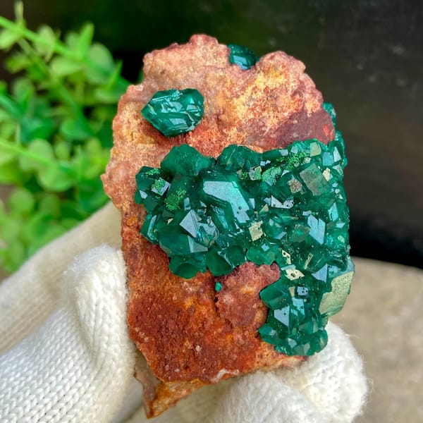 Emerald-green dioptase crystals on orange-brown matrix from Africa, view 6 of 9