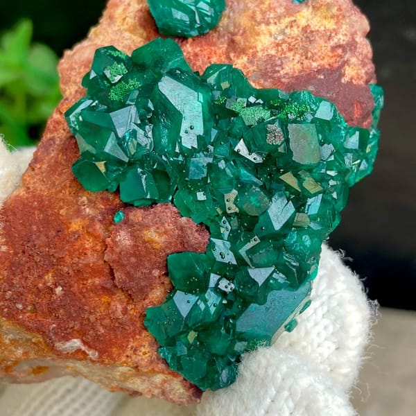 Emerald-green dioptase crystals on orange-brown matrix from Africa, view 7 of 9