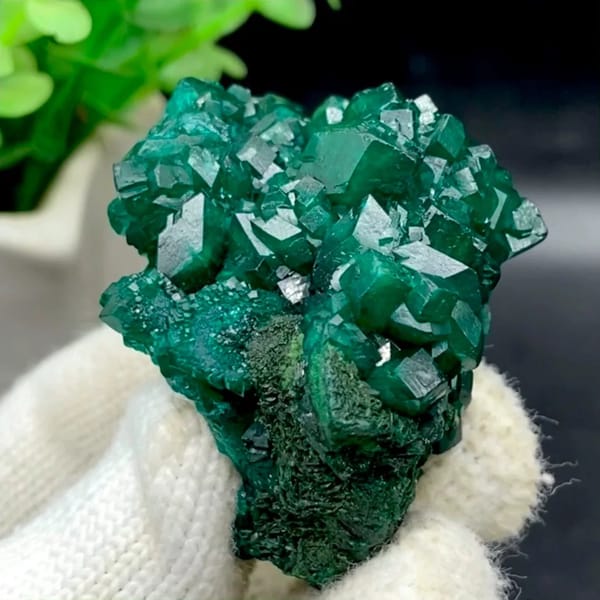 Emerald-green dioptase crystals with fibrous malachite from DR Congo