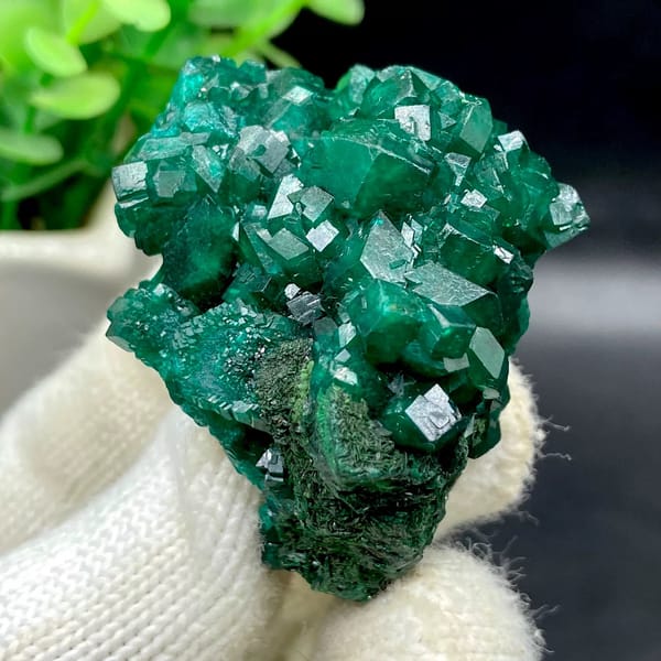 Emerald-green dioptase crystals with fibrous malachite from DR Congo, view 2 of 9