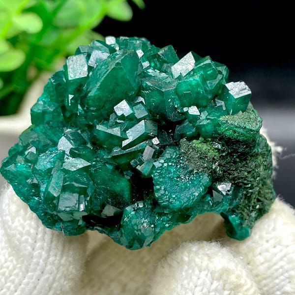 Emerald-green dioptase crystals with fibrous malachite from DR Congo, view 3 of 9