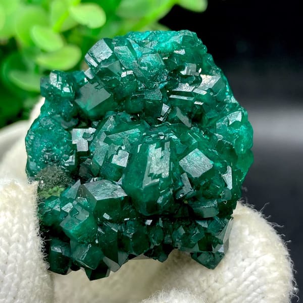 Emerald-green dioptase crystals with fibrous malachite from DR Congo, view 4 of 9