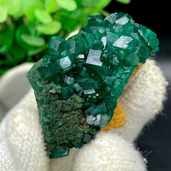 Emerald-green dioptase crystals with fibrous malachite from DR Congo, view 5 of 9