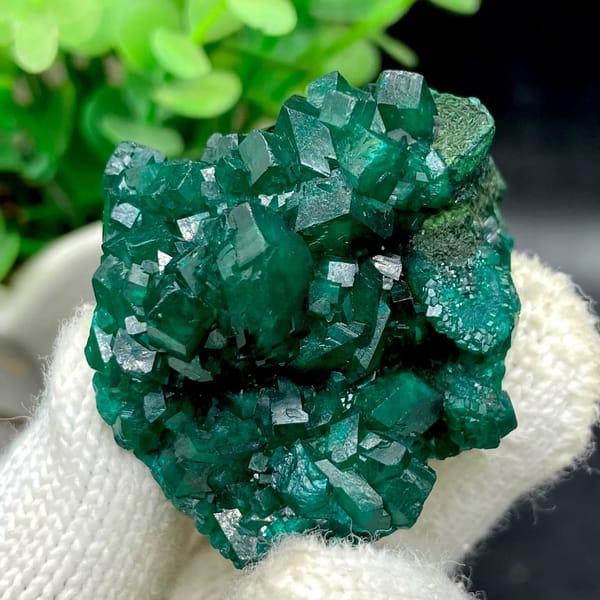 Emerald-green dioptase crystals with fibrous malachite from DR Congo, view 6 of 9