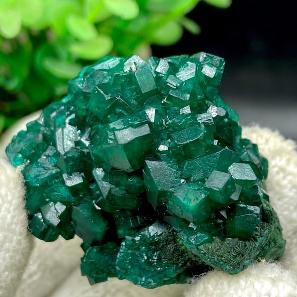 Emerald-green dioptase crystals with fibrous malachite from DR Congo, view 7 of 9