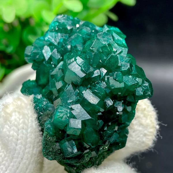 Emerald-green dioptase crystals with fibrous malachite from DR Congo, view 8 of 9