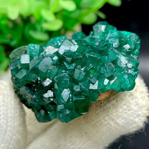 Emerald-green dioptase crystals with fibrous malachite from DR Congo, view 9 of 9