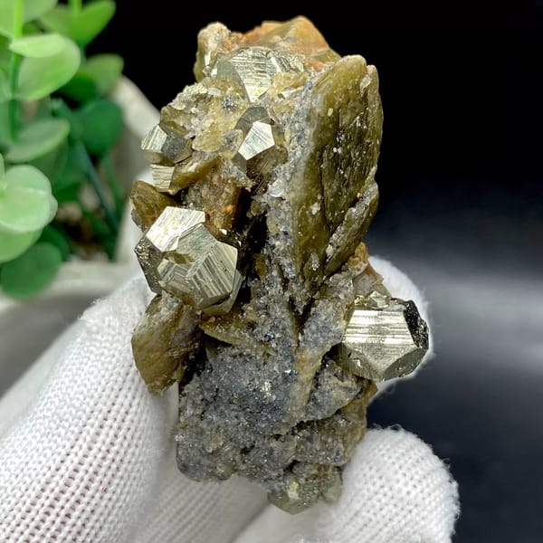 Brassy pyrite dodecahedra on olive siderite blades from Guizhou, China, view 2 of 9
