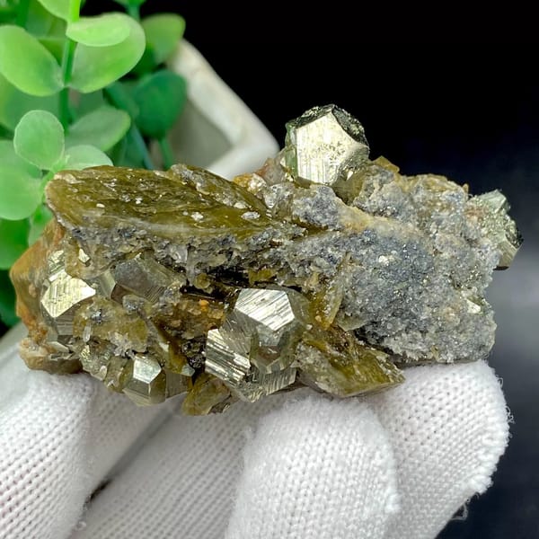 Brassy pyrite dodecahedra on olive siderite blades from Guizhou, China, view 3 of 9