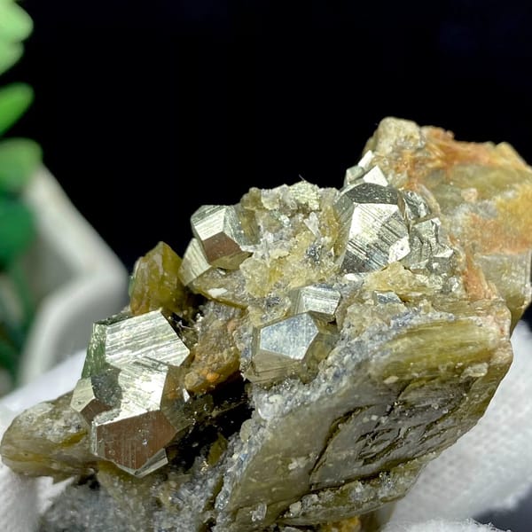 Brassy pyrite dodecahedra on olive siderite blades from Guizhou, China, view 4 of 9