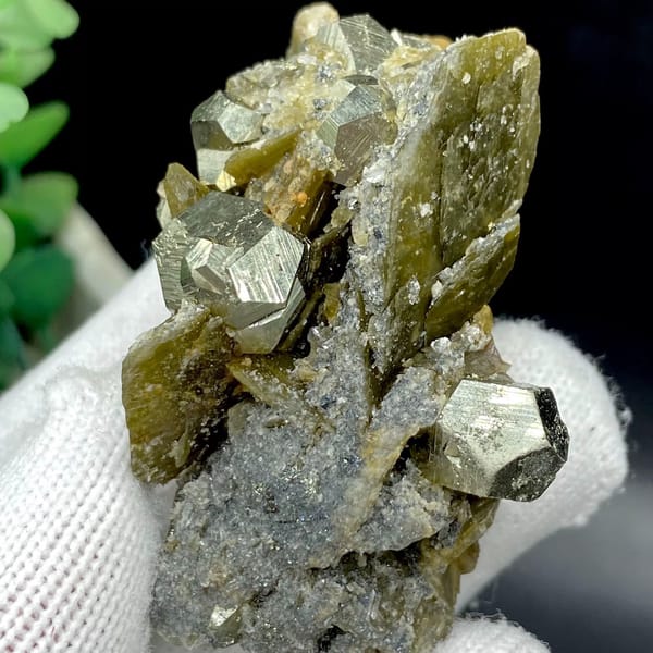 Brassy pyrite dodecahedra on olive siderite blades from Guizhou, China, view 5 of 9