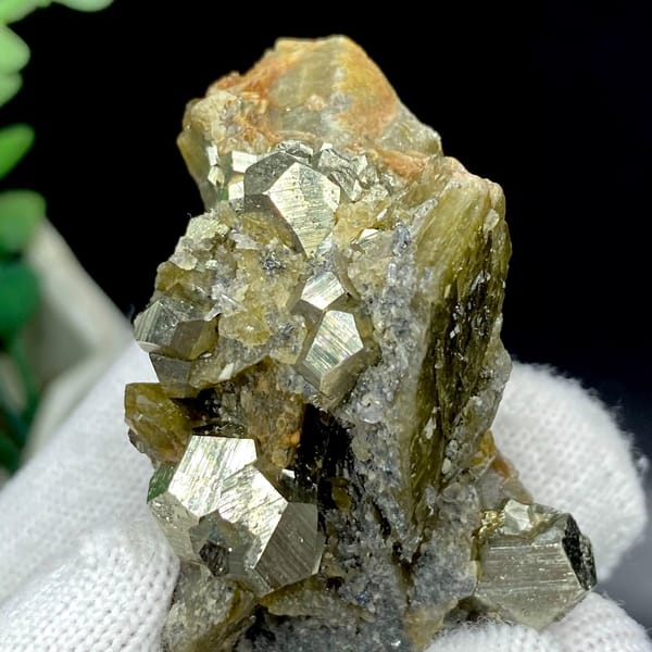 Brassy pyrite dodecahedra on olive siderite blades from Guizhou, China, view 6 of 9