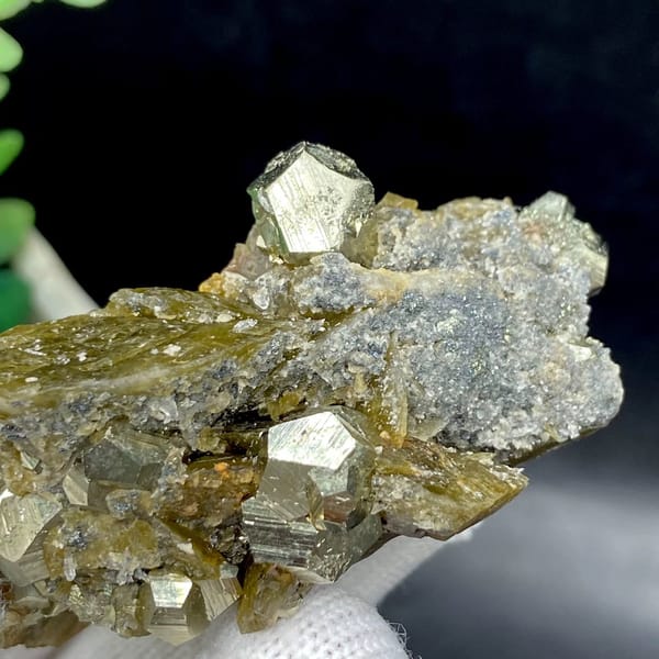 Brassy pyrite dodecahedra on olive siderite blades from Guizhou, China, view 7 of 9
