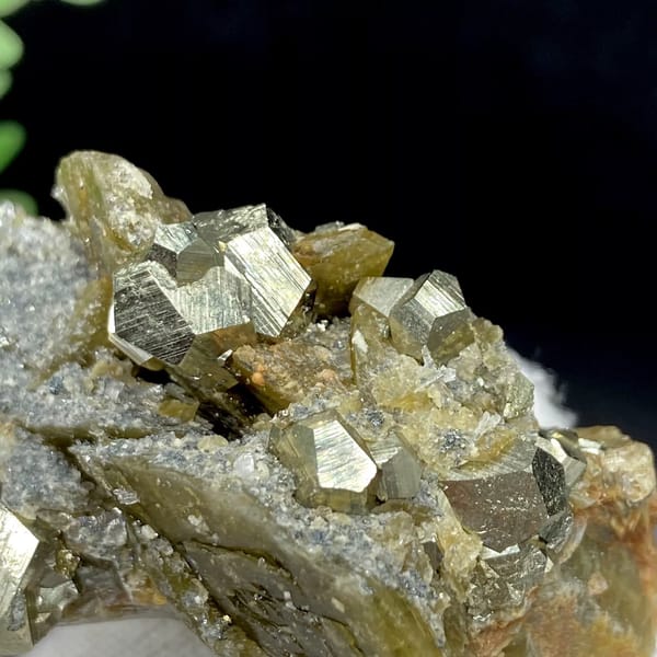 Brassy pyrite dodecahedra on olive siderite blades from Guizhou, China, view 8 of 9
