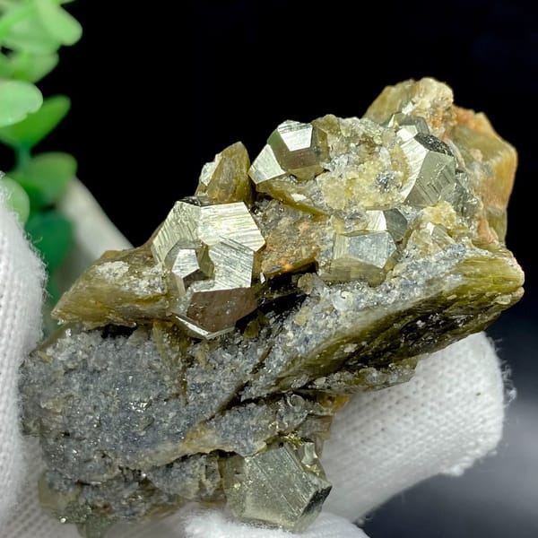 Brassy pyrite dodecahedra on olive siderite blades from Guizhou, China, view 9 of 9