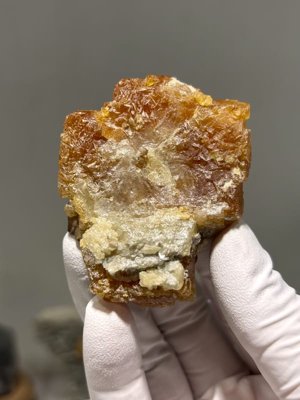 Etched honey scheelite with mica imprints from Xuebaoding, Sichuan, China, held in gloved hand