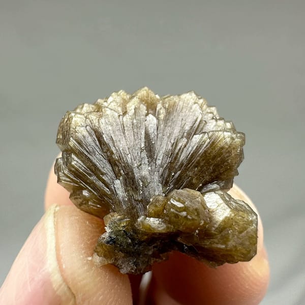 Tiny golden-brown stilbite fan from Yunxiao, Fujian, China