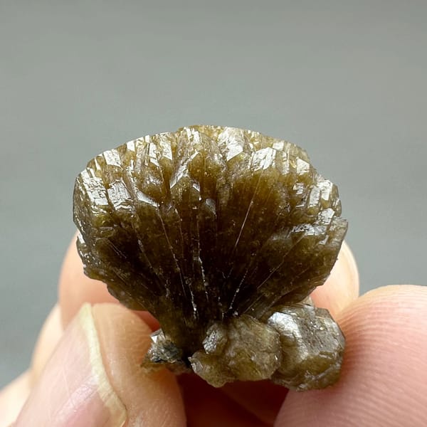 Tiny golden-brown stilbite fan from Yunxiao, Fujian, China, view 5 of 6
