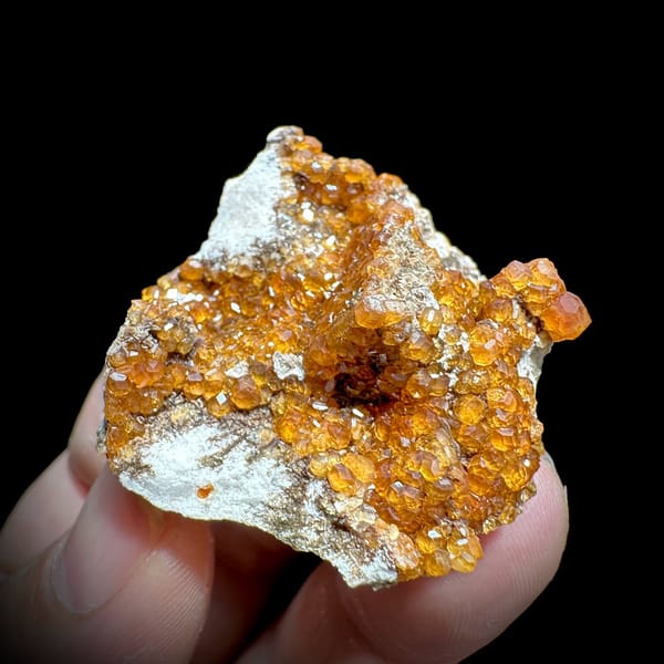 Fanta-orange spessartine garnet druse on grey feldspar from Yunxiao, Fujian, China, view 3 of 6
