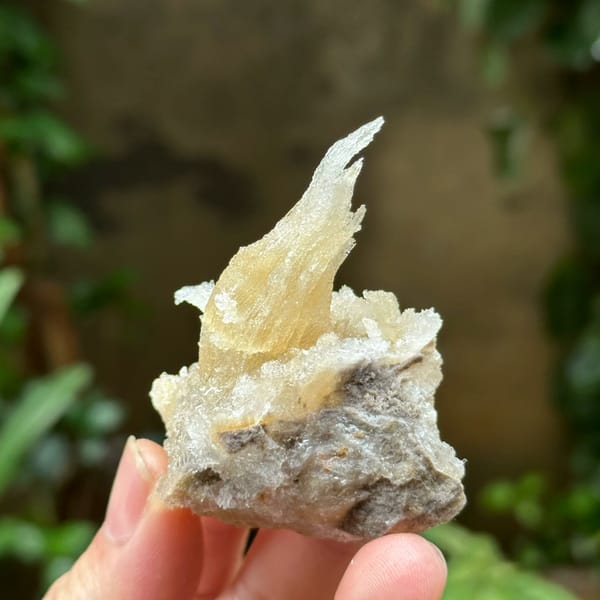 Flame-shaped translucent gypsum spray from Guizhou, China, view 3 of 6