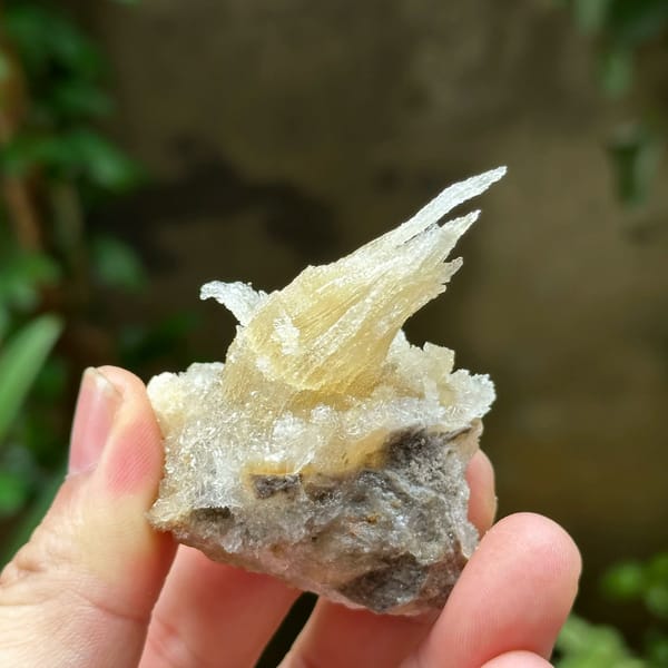 Flame-shaped translucent gypsum spray from Guizhou, China, view 4 of 6