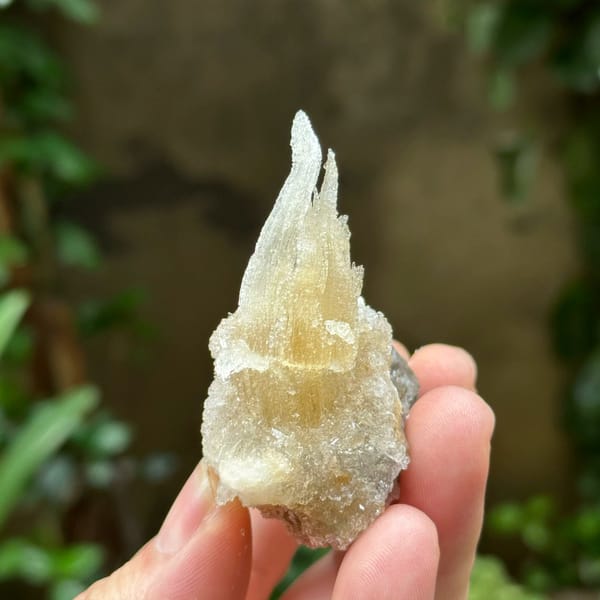 Flame-shaped translucent gypsum spray from Guizhou, China, view 5 of 6