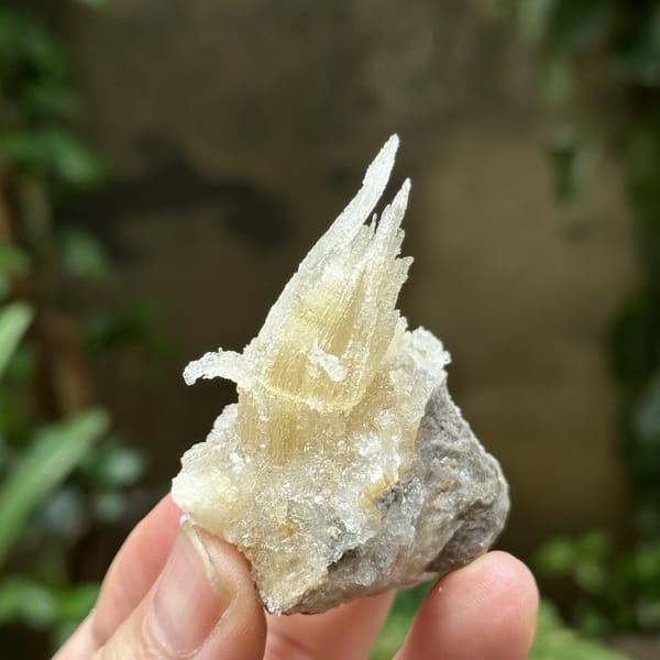 Flame-shaped translucent gypsum spray from Guizhou, China, view 6 of 6