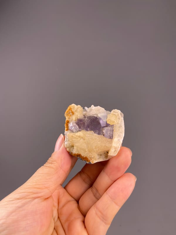 Fluorite from Fujian, China: whole cream-and-purple specimen above the palm.