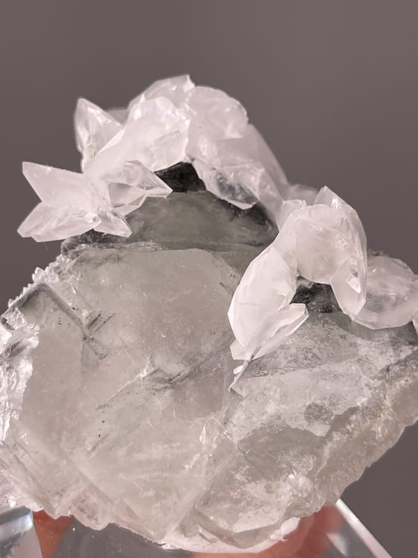 Fluorite with Calcite specimen from Fujian, China displaying gray calcite with white overgrowth