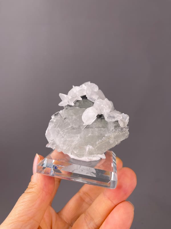 Fluorite with Calcite specimen from Fujian, China highlighting gray calcite with white overgrowth